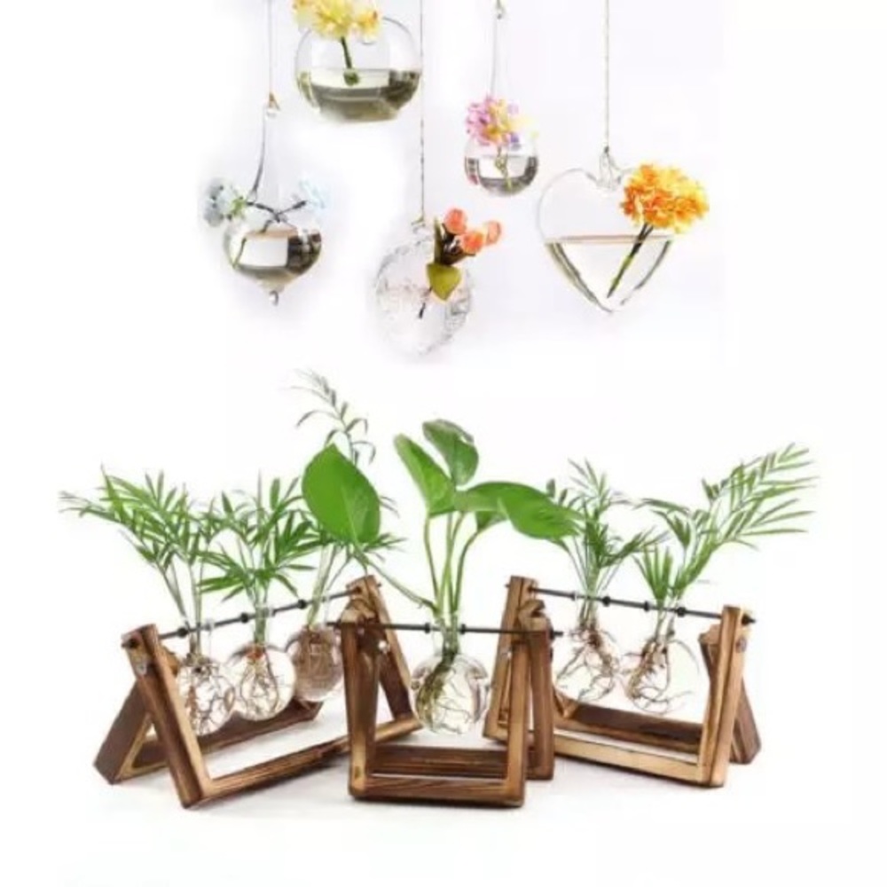 Sold out  🔥 Mini Terrarium Two Ball Set 🍃 - Picture 2 of 3